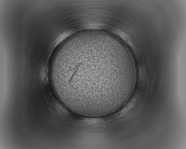 X0000088230970200705221821