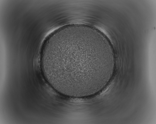 X0000088230971200705221821