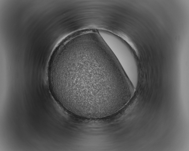 X0000088230972200705221821