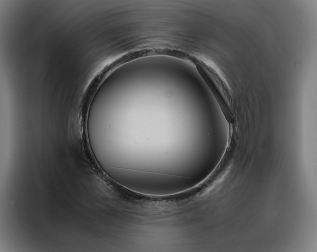 X0000088230973200705221821