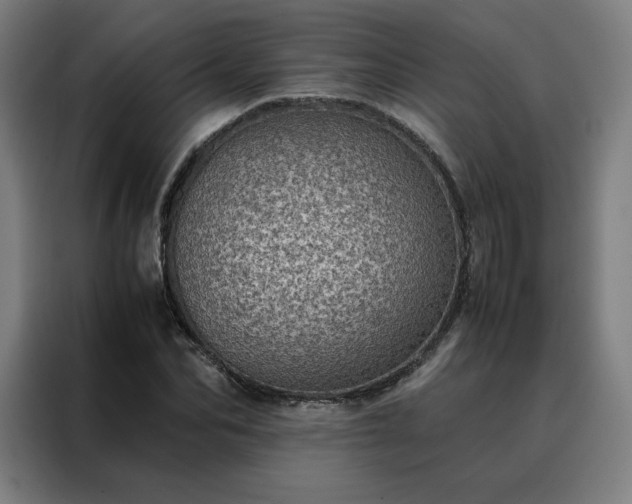 X0000088230974200705221821