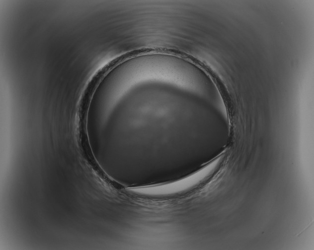 X0000088230975200705221821