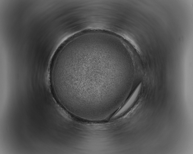 X0000088230976200705221821