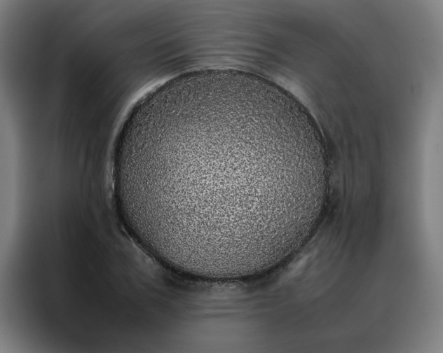 X0000088230979200705221821