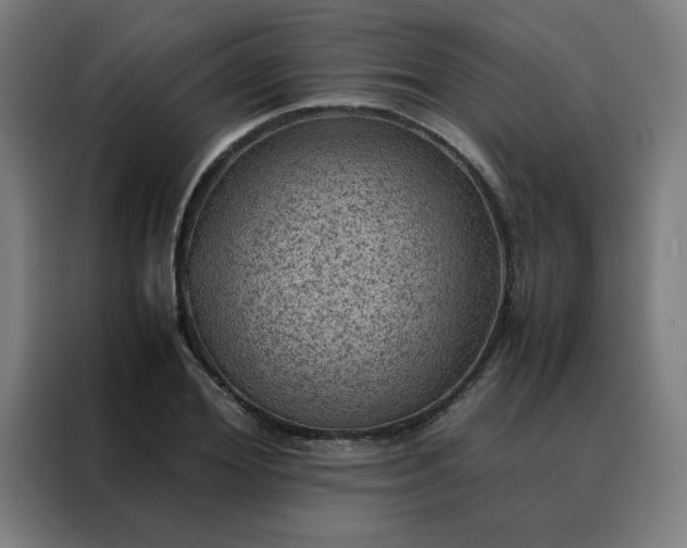 X0000088230980200705221821