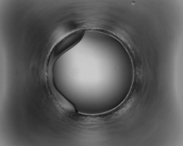 X0000088230981200705221821