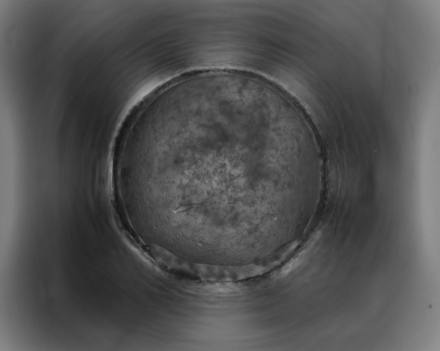X0000088230982200705221821