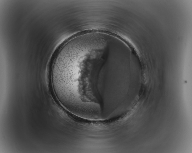 X0000088230983200705221821