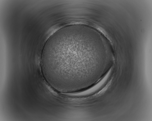 X0000088230985200705221821