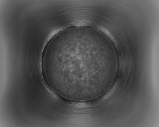 X0000088230986200705221821