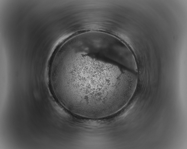 X0000088230987200705221821