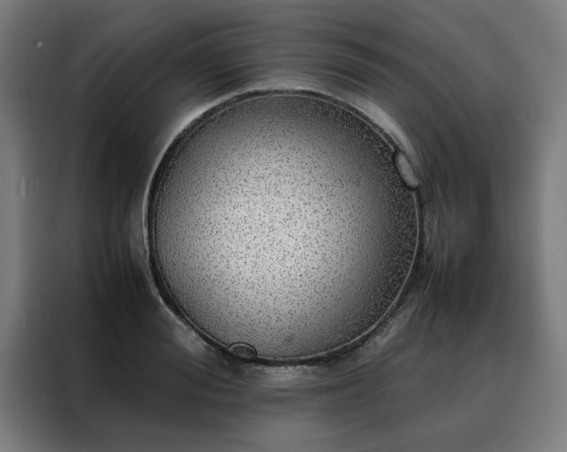 X0000088230988200705221821