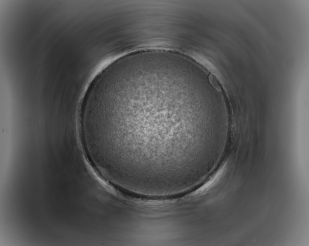 X0000088230989200705221821