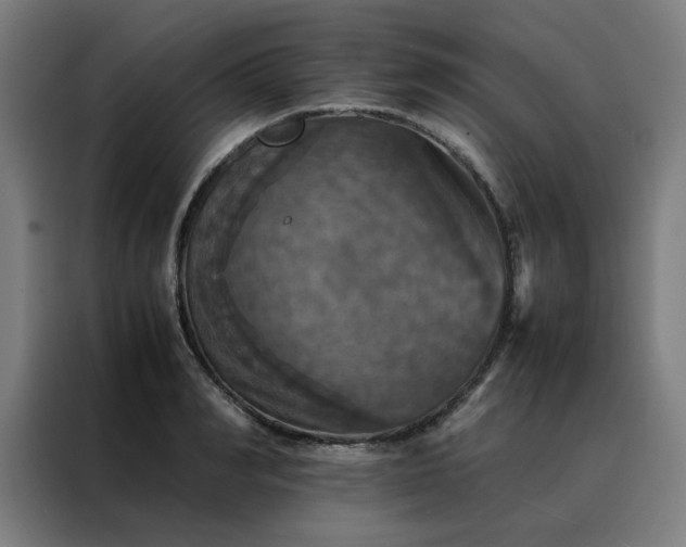 X0000088230990200705221821