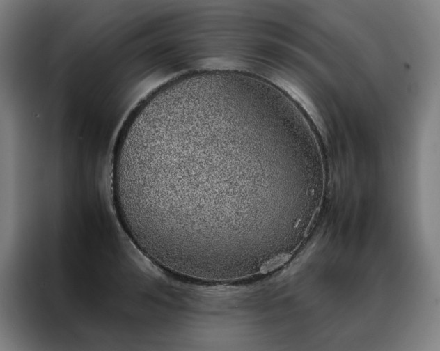 X0000088230992200705221821