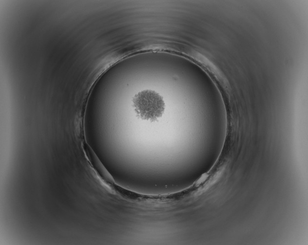 X0000088230993200705221821