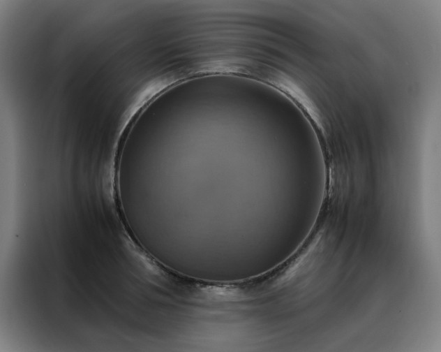 X0000088230994200705221821