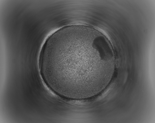 X0000088230995200705221821