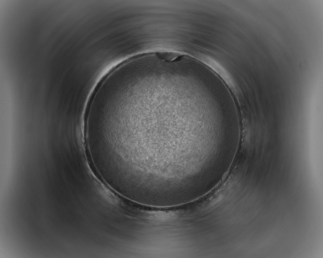 X0000088230996200705221821