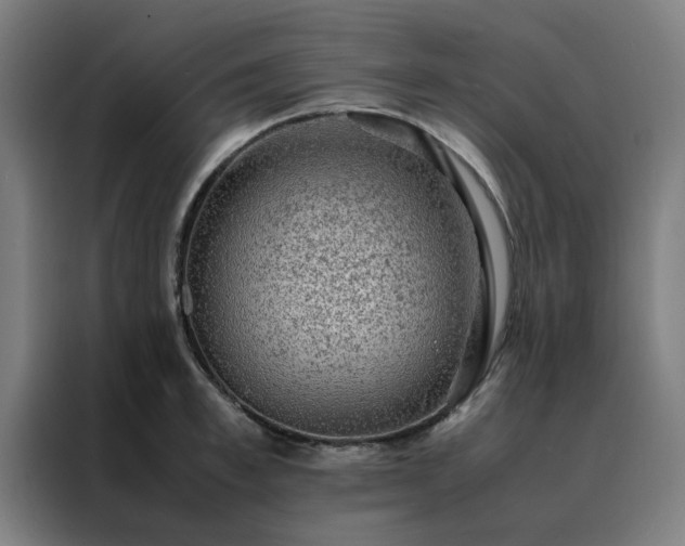 X0000088230997200705221821