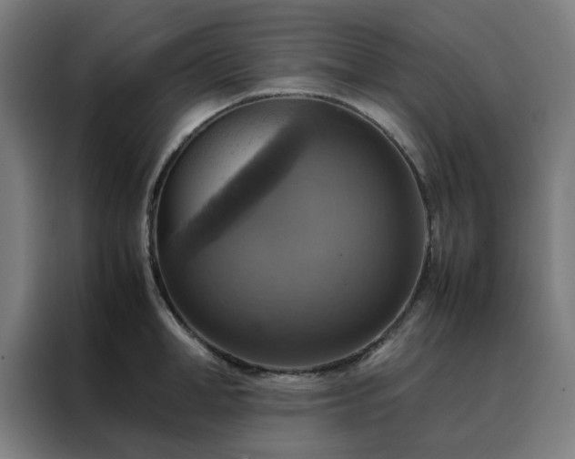 X0000088230998200705221821