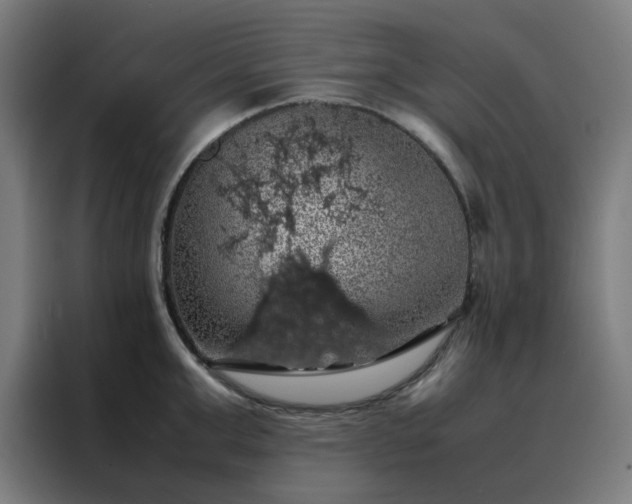 X0000088230999200705221821