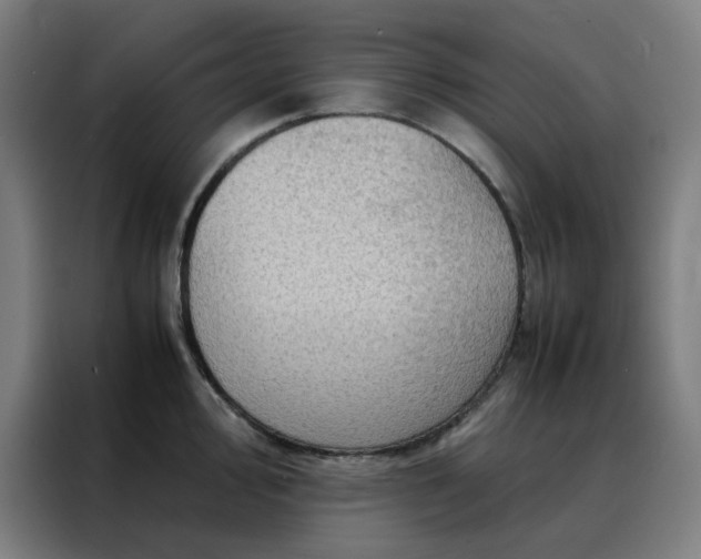 X0000088231000200705221821