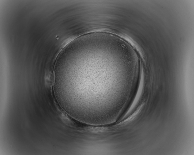 X0000088231001200705221821