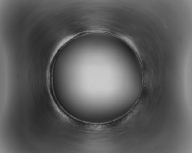 X0000088231003200705221820