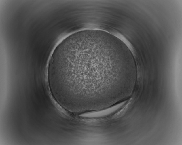 X0000088231004200705221820