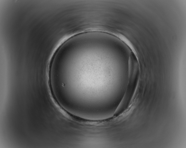 X0000088231005200705221820