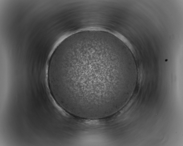 X0000088231006200705221820