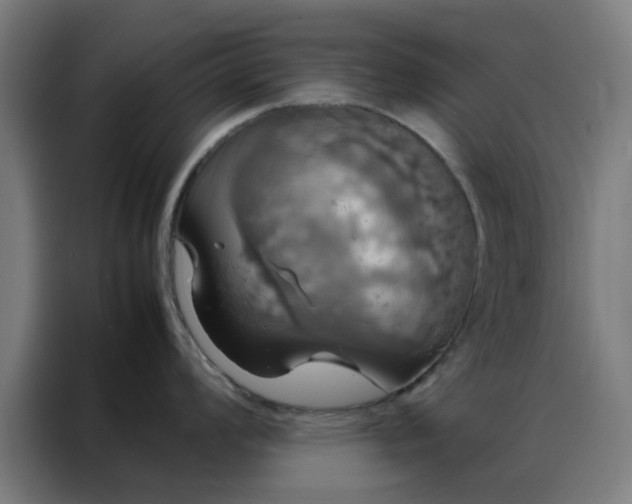 X0000088231008200705221820