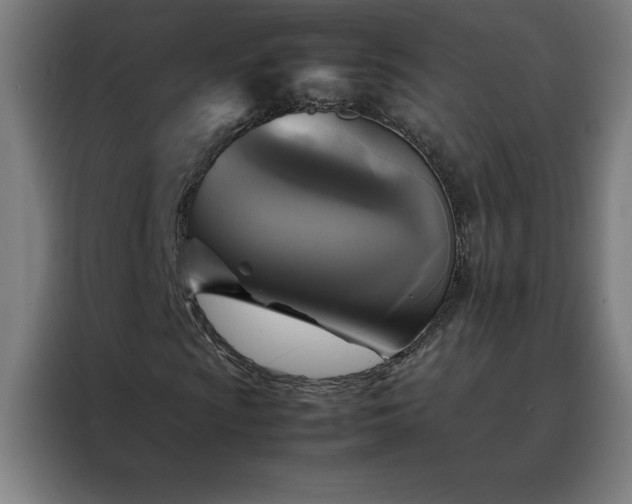 X0000088231009200705221820