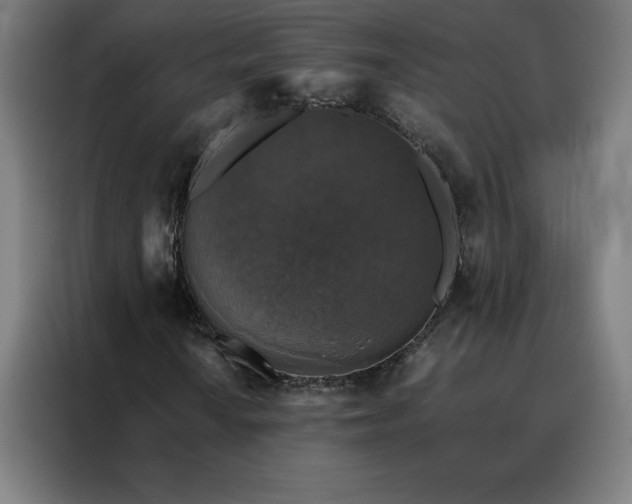 X0000088231010200705221820