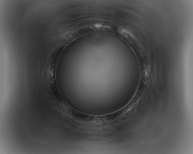 X0000088231013200705221820