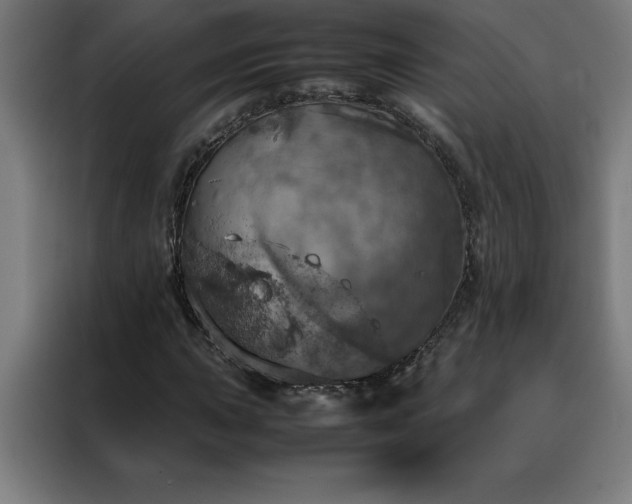 X0000088231015200705221820