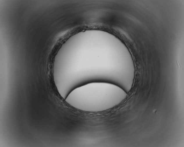 X0000088231016200705221820
