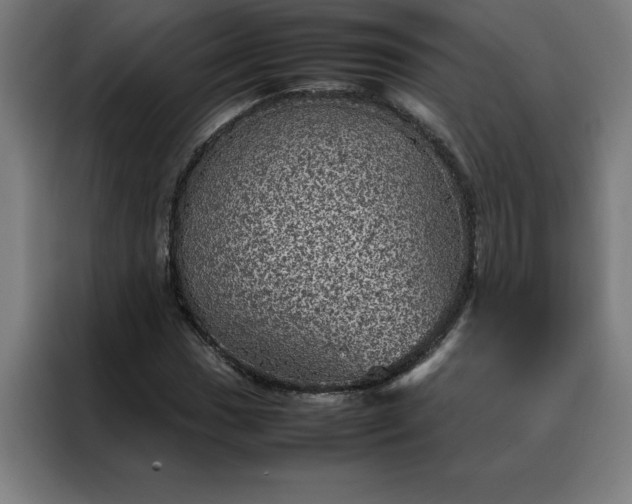 X0000088231017200705221820