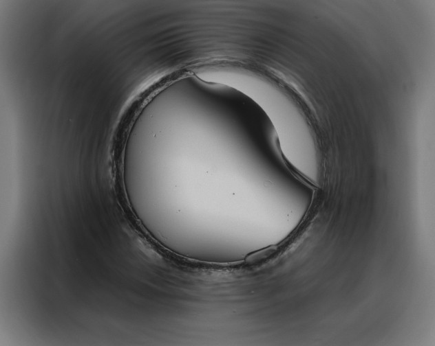 X0000088231018200705221820