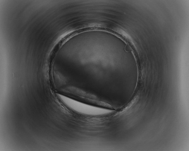 X0000088231019200705221820