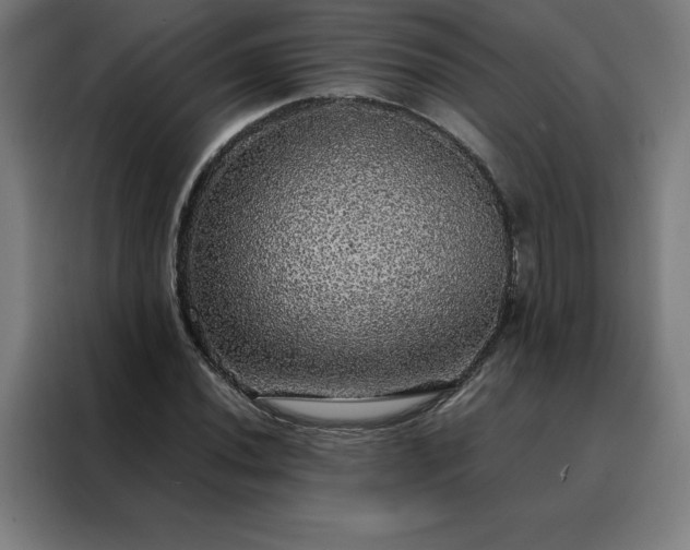 X0000088231020200705221820