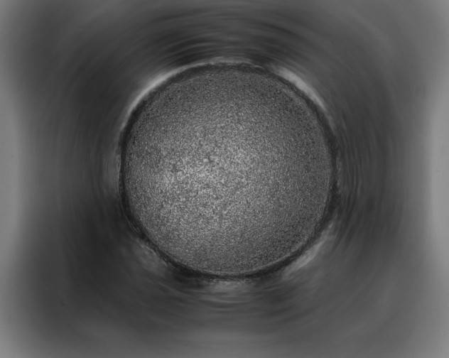 X0000088231021200705221820