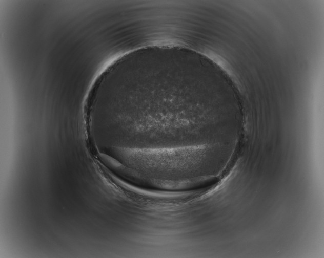 X0000088231022200705221820