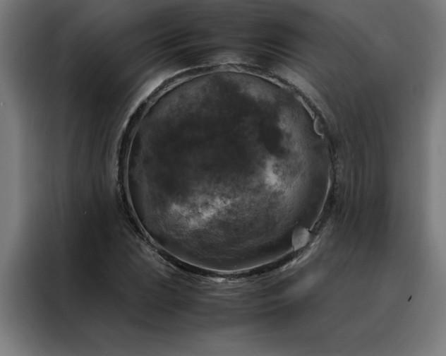 X0000088231023200705221820