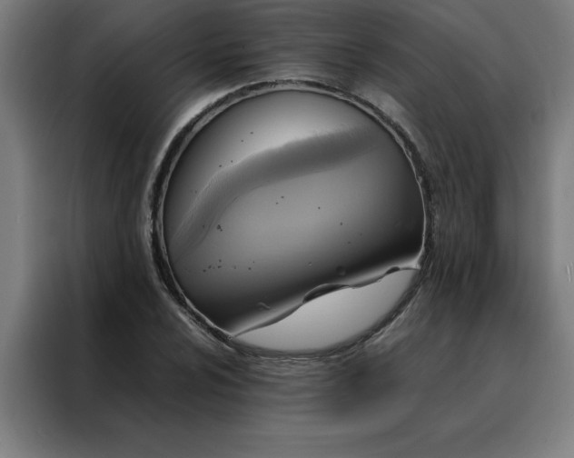 X0000088231024200705221820