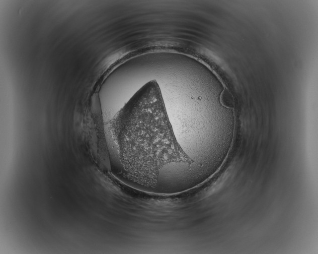 X0000088231025200705221820