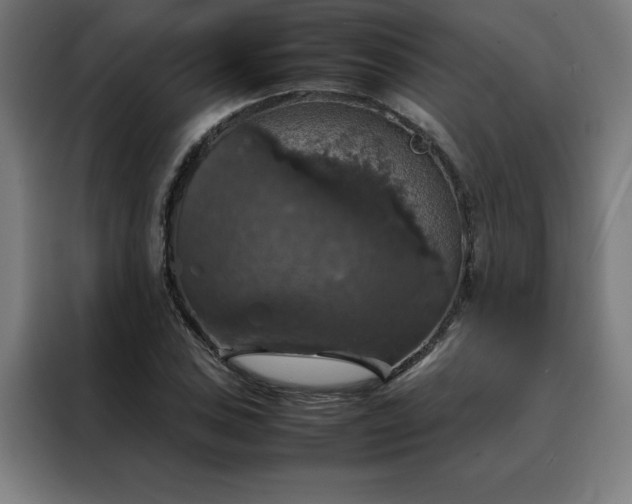 X0000088231027200705221820