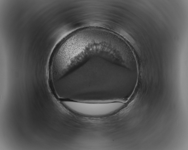 X0000088231028200705221820