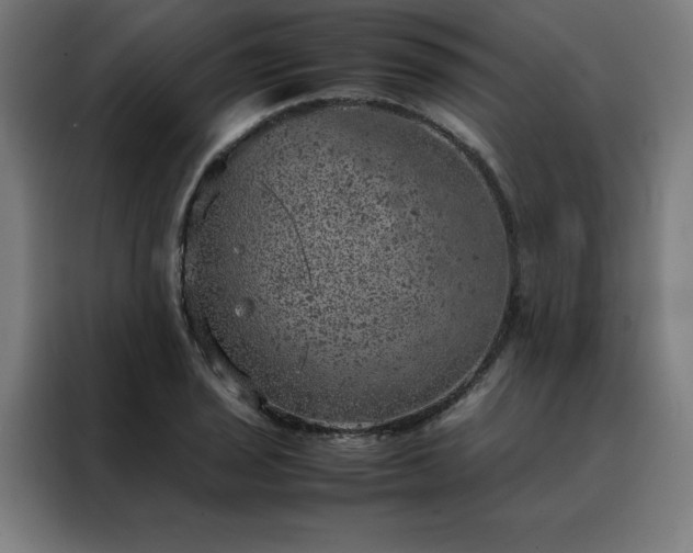 X0000088231029200705221820